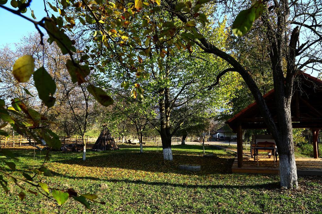 Pensiunea Moara Lu Antone Orastioara de Sus Exterior photo